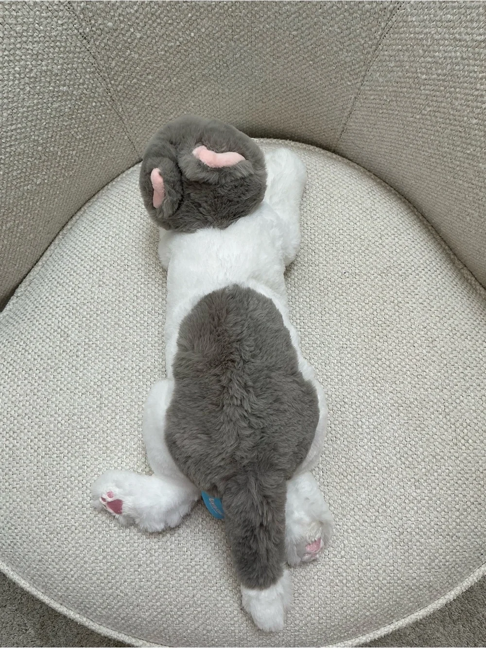 LITTLE CUCU Gray & White Cat Plush Stuffed Animal
